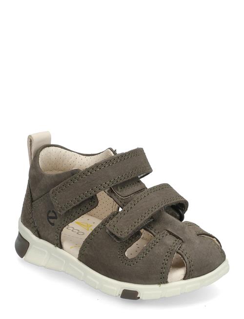 ECCO | Mini Stride Sandal | 21