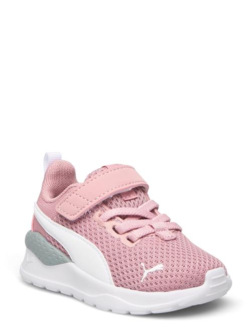 PUMA | Anzarun Lite Ac Inf | 25
