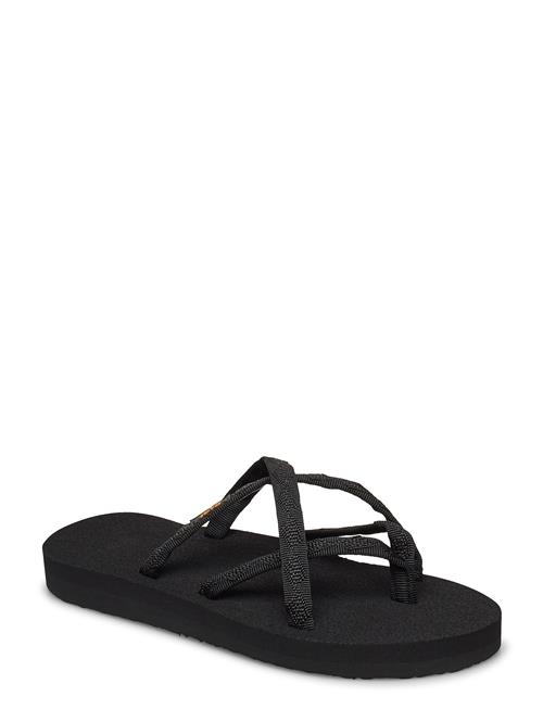 Teva | Olowahu | 39