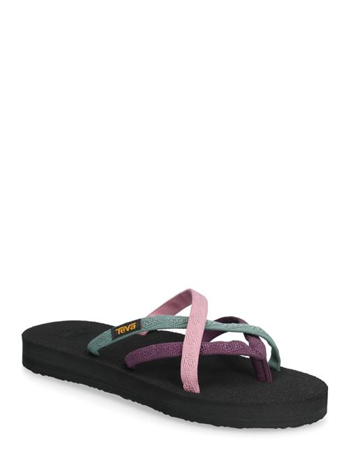 Teva | Olowahu | 36