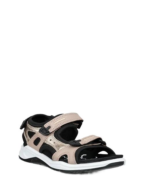 ECCO | X-Trinsic K | 26