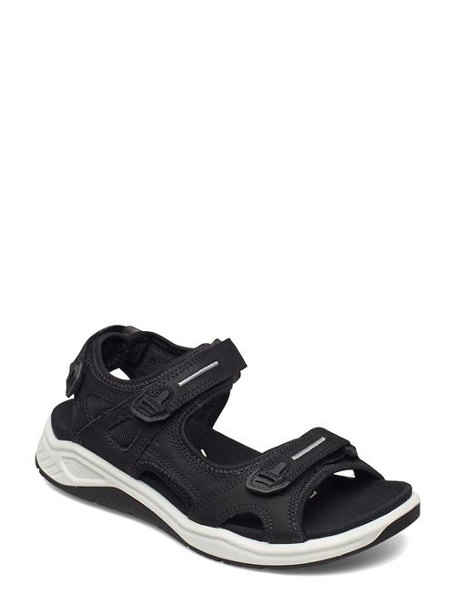 ECCO | X-Trinsic K | 39