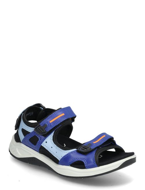 ECCO | X-Trinsic K | 37