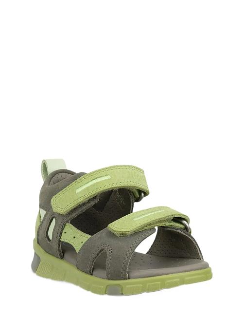 ECCO | Mini Stride Sandal | 26
