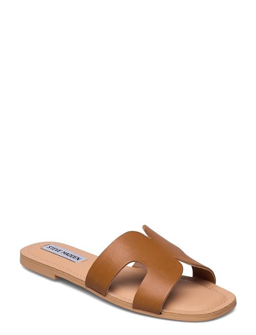 Steve Madden | Zarnia Sandal | 37