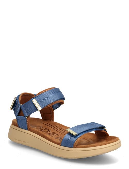 WODEN | Line | 40