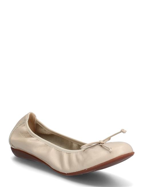 Wonders | Bo | 37