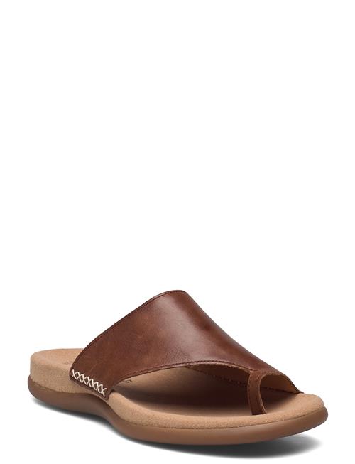 Gabor | Slip-In | 42