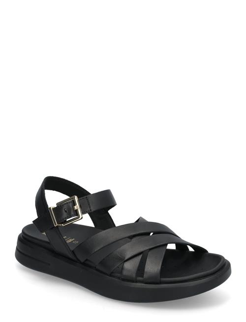 GEOX | D Xand 2S B | 41