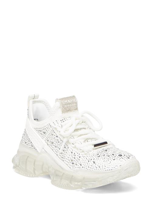 Steve Madden | Maxima-R | 38