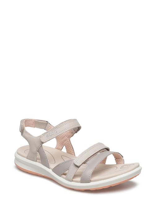 ECCO | Cruise Ii | 43