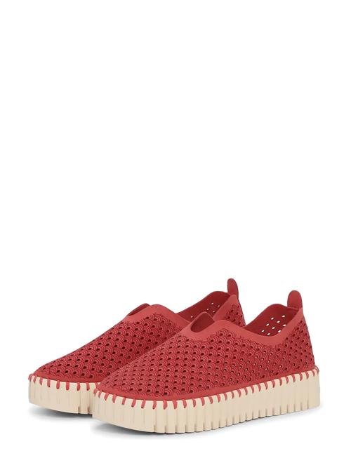 Ilse Jacobsen | Flats | 38