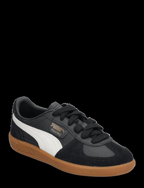 PUMA | Palermo Lth Jr | 36