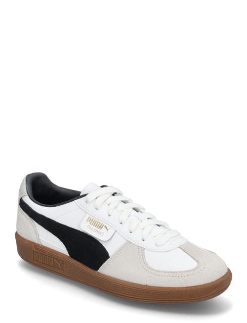 PUMA | Palermo Lth Jr | 39