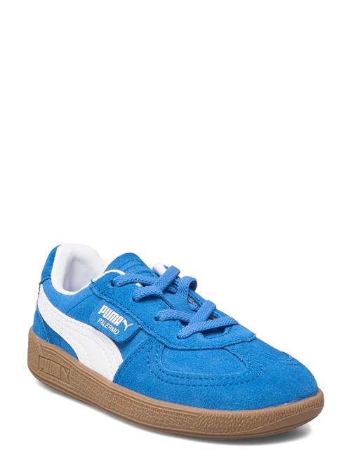 PUMA | Palermo Ac Inf | 20