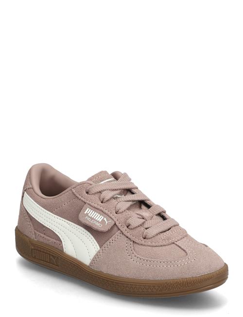 PUMA | Palermo Ps | 29