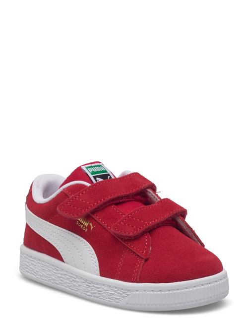 PUMA | Suede Classic V Inf | 19