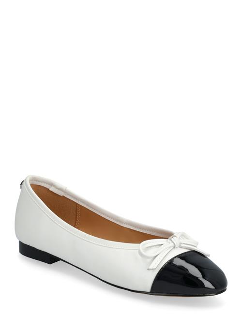 Steve Madden | Ellison | 40