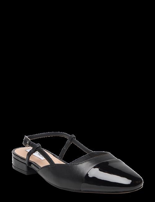 Steve Madden | Belinda Ballerina | 36