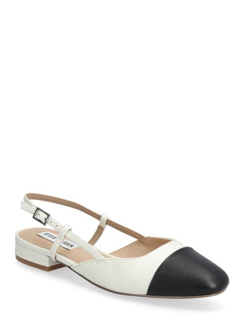 Steve Madden | Belinda Ballerina | 40
