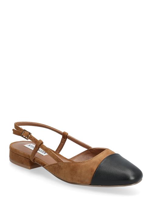 Steve Madden | Belinda | 39