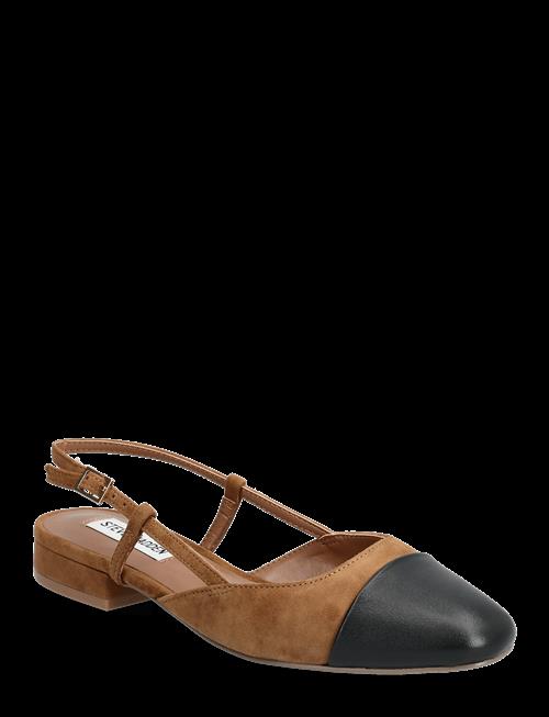 Steve Madden | Belinda Ballerina | 39