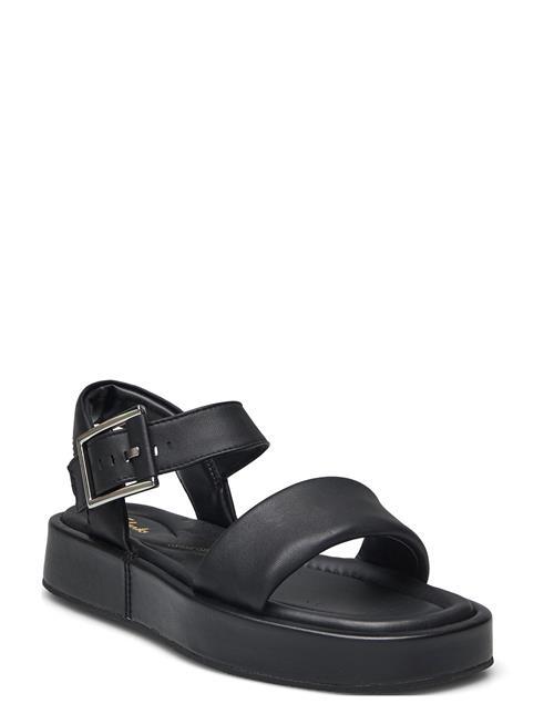 Clarks | Alda Strap D | 41.5