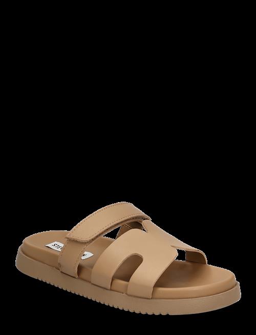 Steve Madden | Missile | 36