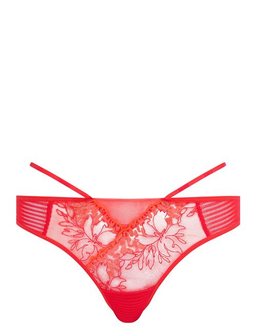 CHANTELLE | Spice Tanga | 40