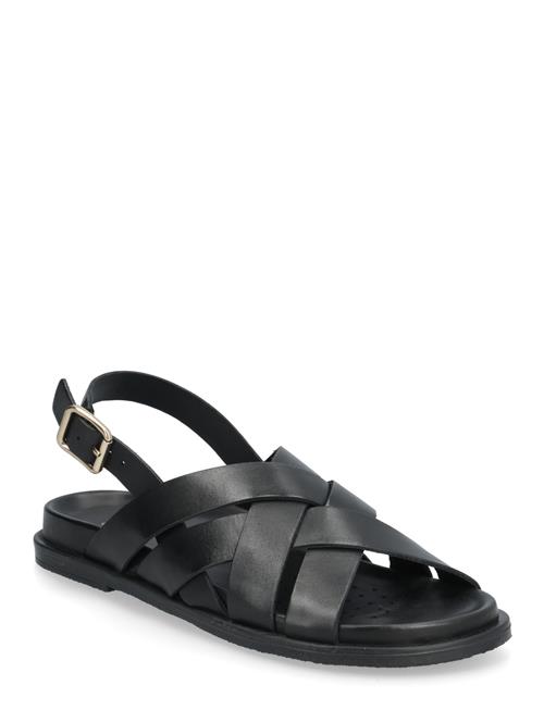 GEOX | D Adelash A | 41