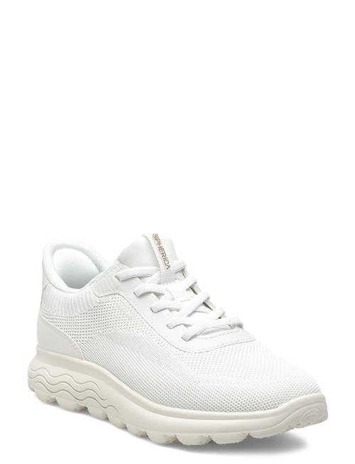 GEOX | D Spherica Plus A | 41