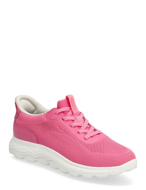 GEOX | D Spherica Plus A | 39