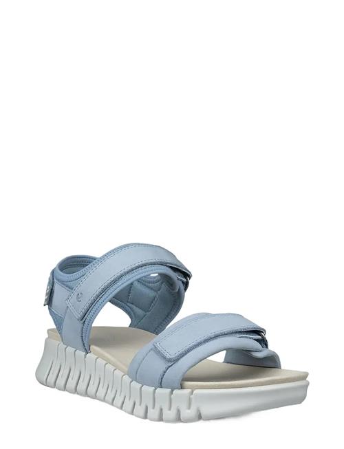 ECCO | Gruuv Sol W | 42