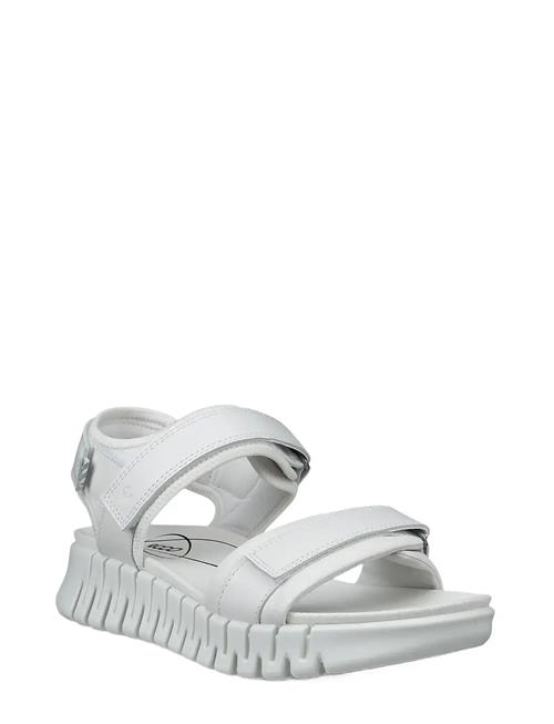 ECCO | Gruuv Sol W | 38