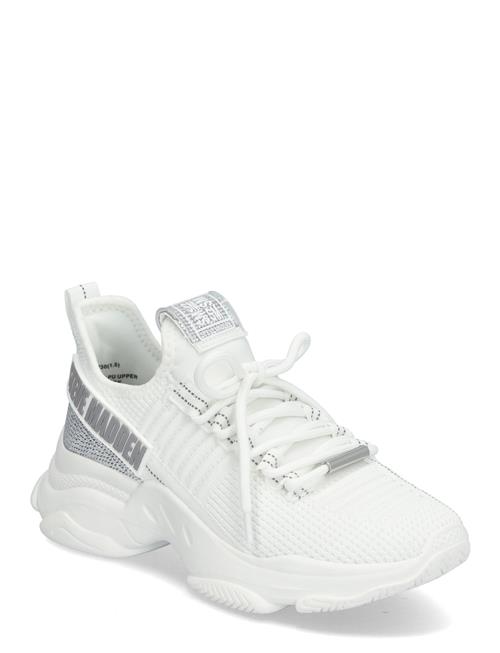 Steve Madden | Maxilla-R-E | 41
