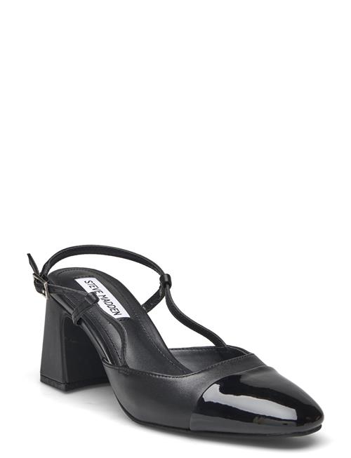 Steve Madden | Zeina | 40
