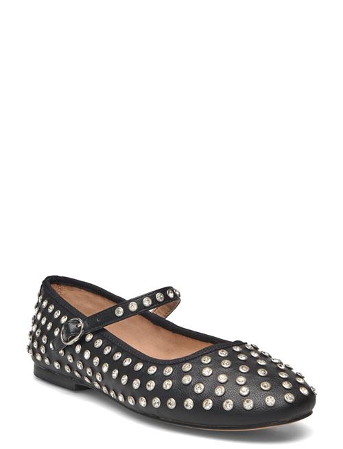 Steve Madden | Vinetta-R | 41