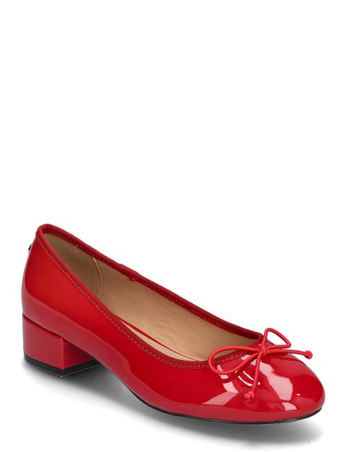 Steve Madden | Cherish | 36