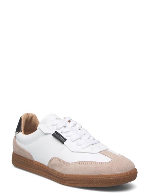 Steve Madden | Emporia Sneaker | 42