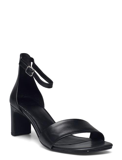 VAGABOND | Luisa | 38