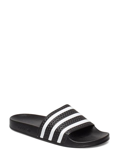 adidas Originals | Adilette | 39