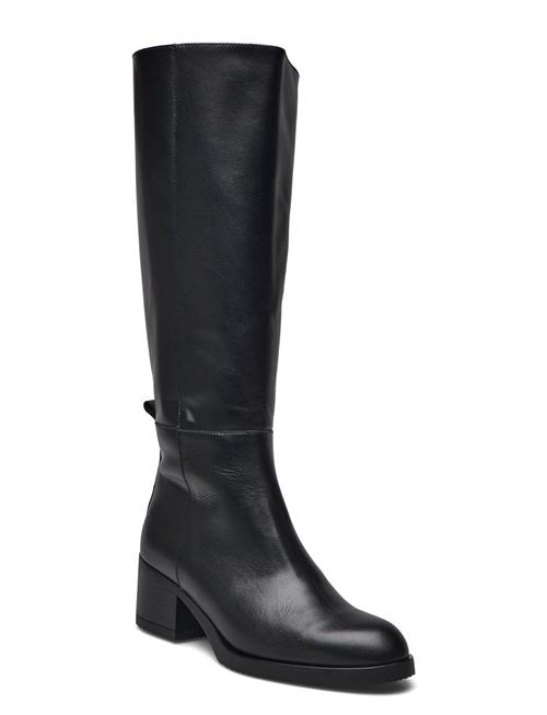 Wonders | Topo | 36