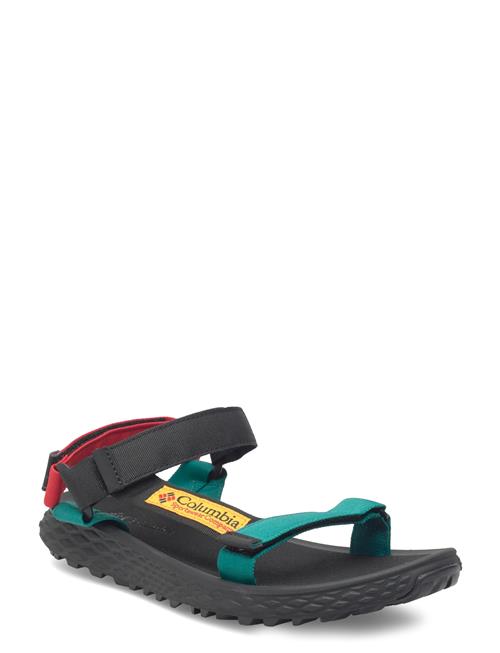 Columbia Sportswear | Konos Globetrot | 42