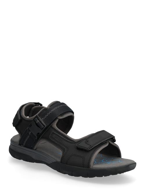 GEOX | U Spherica Ec5 B | 42