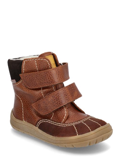ANGULUS | Boots - Flat - With Velcro | 21 x 13.60
