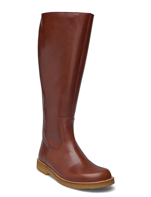 ANGULUS | Booties - Flat - With Zipper | 42