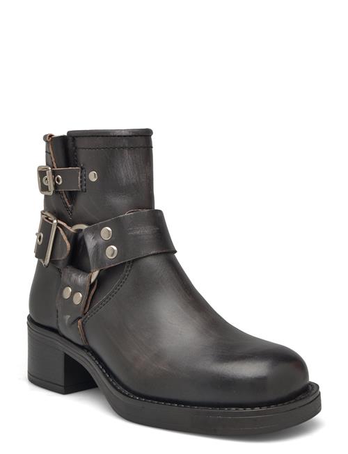 Pavement | Zevil Vintage | 40
