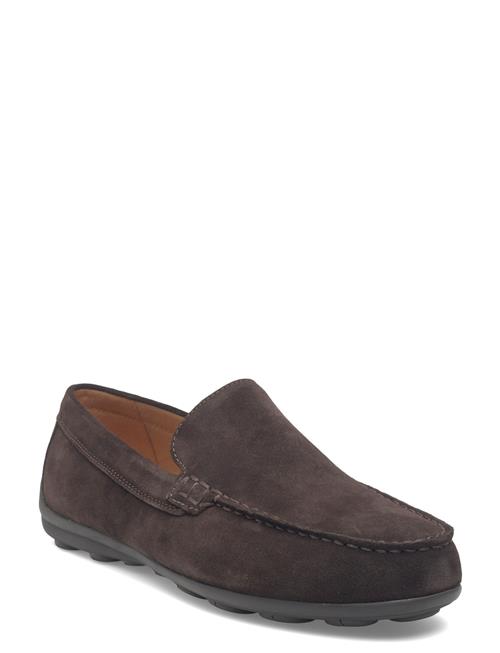 GEOX | U Spherica Ec16 A | 43