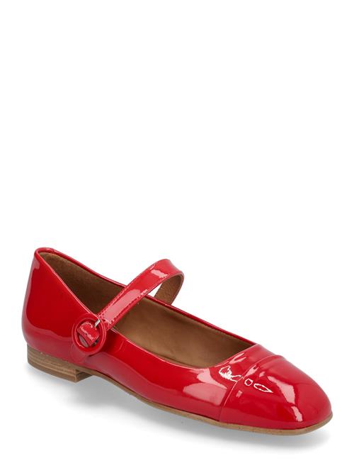Billi Bi | Ballerina | 40.5