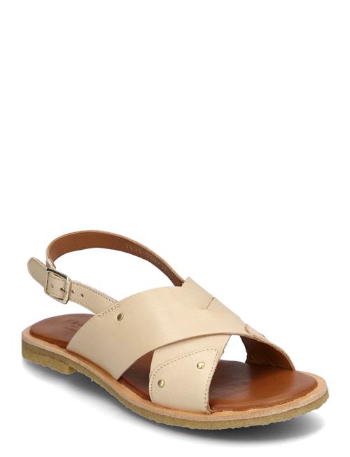 Billi Bi | Trotter | 37